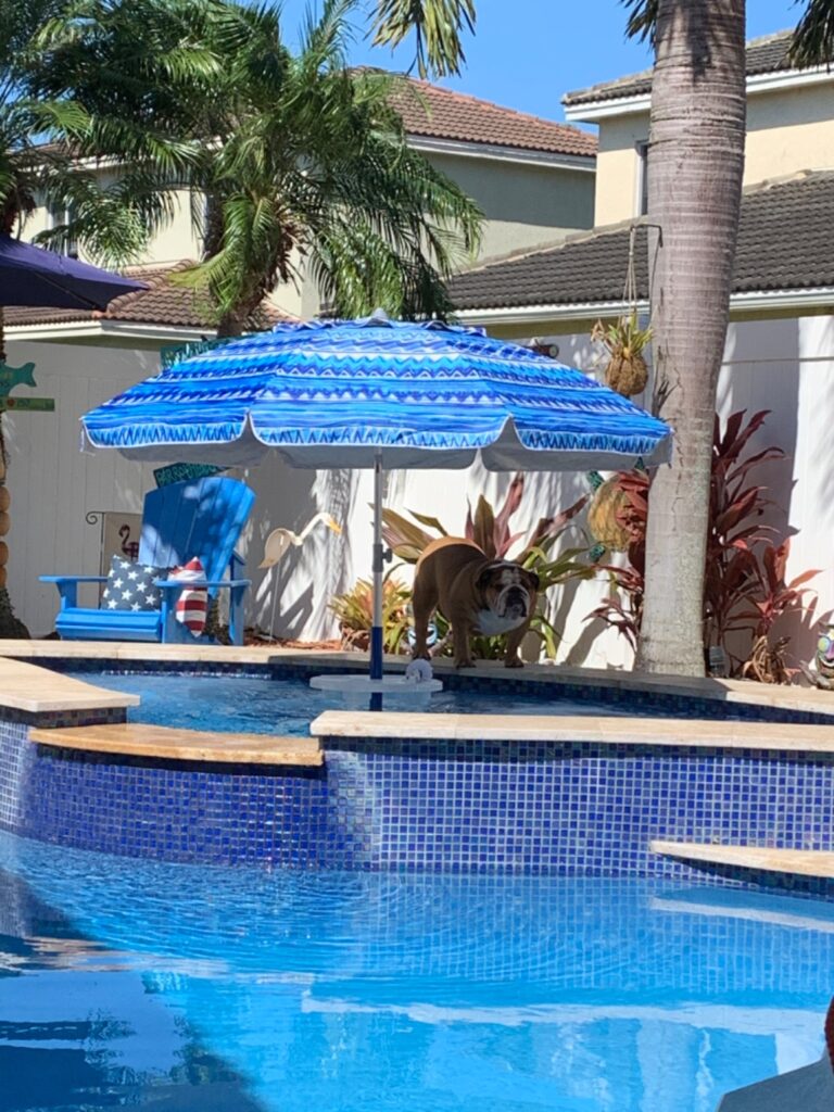 Relaxation Station Swimming Pool Table and Stools